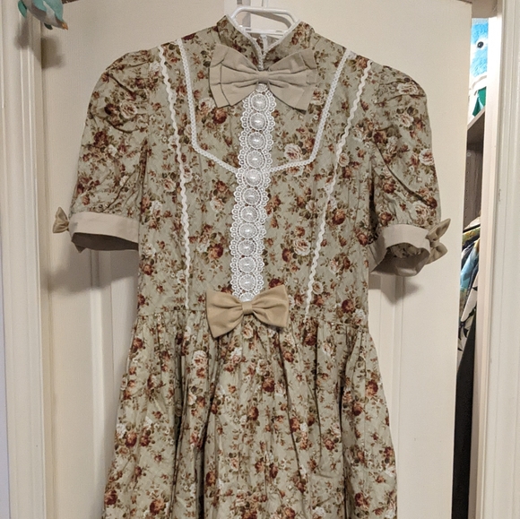 Floral Cottagecore Lolita Dress - Picture 1 of 3